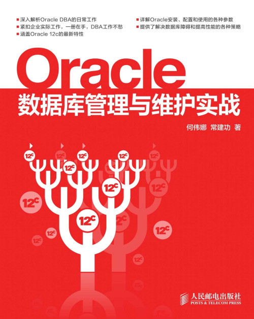 《Oracle数据库管理与维护实战（异步图书）》 何伟娜 & 常建功 epub ...